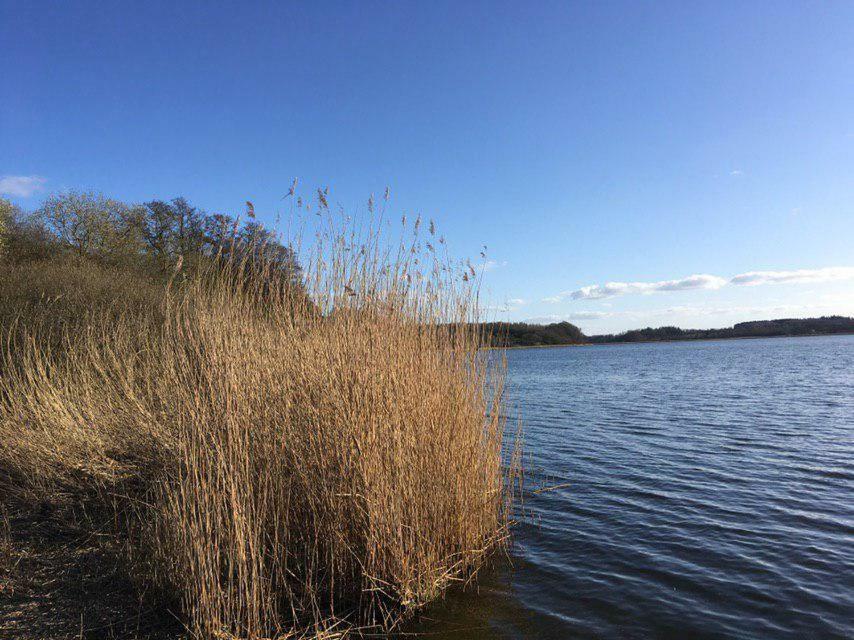 Ferienwohnung Am Noor Nahe Schleswig Und Dem Wikingerdorf Haithabu Fahrdorf  Εξωτερικό φωτογραφία